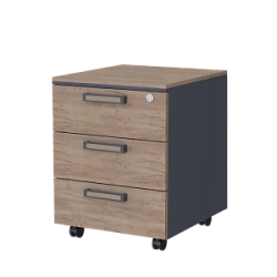 Mobile File Cabinet