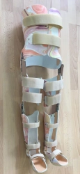 Lower Limb and Torso Orthotic Device for Rehabilitation