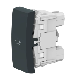 Caduceus Aling Mode 10A Push Button Light Switch, Anthracite, Art. 659.A