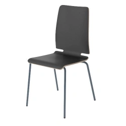 Metal Frame Chair with Wooden Seat - SF9