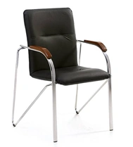Standard Chair with Metal Frame