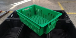 Perforated Plastic Box No. 25