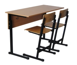 Rectangular School Desks with Metal Frame - Model PSh
