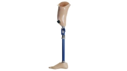 Custom Hip Prosthesis for Bathing