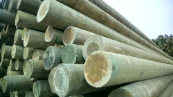 Wooden Elements for Power Line Support, 8.5m, 0.4-35kV, Preserved with SSA Antiseptic