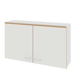 Non-Metal Wall Cabinets (LAB Series)