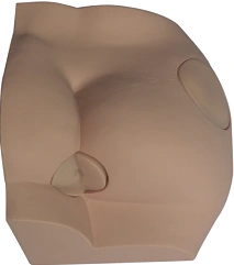 Intramuscular Injection Training Model, T1