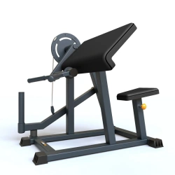 Arm Muscle Training Machine for Biceps - BF-208