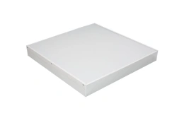Flat Standard LED Ceiling Light