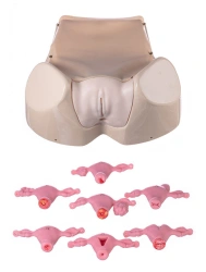 Advanced Gynecological Phantom ZK-26R