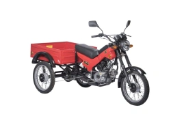 Three-Wheeled Moped ZID-50-02