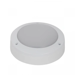 LED Lighting Fixture for Housing and Utilities Mini-10 (BIEA.676279.008)