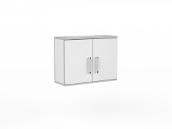 Wall-Mounted Laboratory Cabinet MNSh1