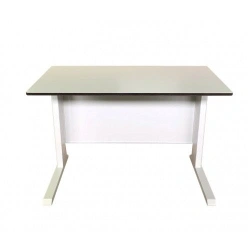 Laboratory Work Table - Carbon or Stainless Steel