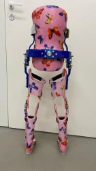 Lower Limb and Torso Apparatus with Reciprocal Gait System