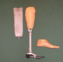 Leg prosthesis