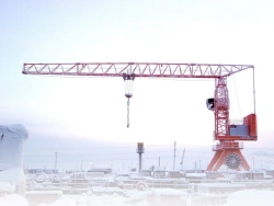 12.5 Ton Portal Loader Crane TDKP-12.5.440