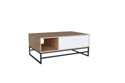 Cologne LD.674040.000 Coffee Table (Golden Oak/White)