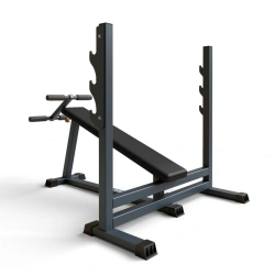 Adjustable Decline Bench Press BF-306