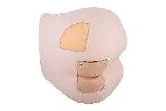 Phantom Pelvis Model for Enema Administration and Intramuscular Injections ZIK-12