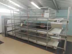 Broiler Chicken Growing System, Model "CARRE-1600