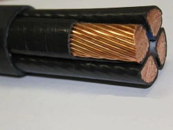 Power Cables for Voltage 0.66 kV and 1 kV with Copper Conductors: PVVG