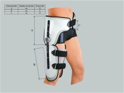 Custom-Made Knee and Hip Joint Apparatus