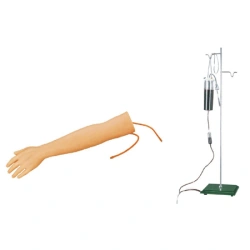 Adult Injection Practice Model with Realistic Skin, Model S