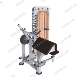 Triceps Machine for Wheelchair Users A-111i
