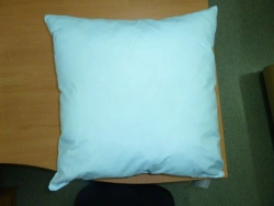 Household Filling Pillow