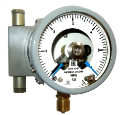 Pressure Gauges DM5010Cg for Measuring Excess and Vacuum Pressure