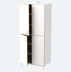 Chemical Reagents Storage Cabinet Model B50