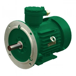 Explosion-Proof Asynchronous Electric Motors AIML 132 M2