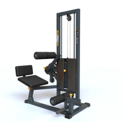 Professional Abdominal and Back Trainer BF-135.1