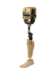 Therapeutic Training Hip Prosthesis PN6-M-LT