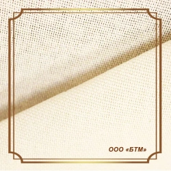 Raw Cotton Fabric 2/2 Weave Article 07-05