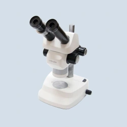Ophthalmology Diagnostics