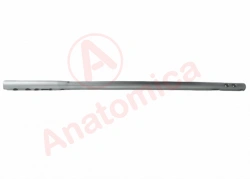 Reconstruction Rod for Femur Bone