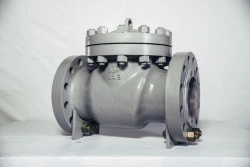 Automatic Check Valves ZO DN 50-400 PN 1.6-25.0 MPa