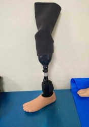 Modular Lower Leg Prosthesis with Microprocessor-Controlled Foot Module