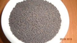 Ceramic Proppants for Hydraulic Fracturing and Oil Recovery TECHPROP