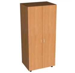 Office Cabinet with 2 Doors for Document Storage