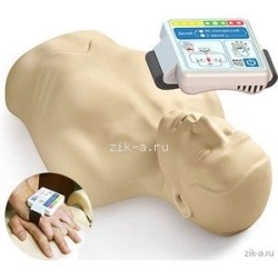 Resuscitation Phantom Torso with External Electric Controller