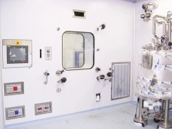 Seamless X-Ray Protective Windows for Clean Rooms XRPFG