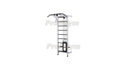 Wall-mounted Swedish Ladder with Weighted Exercise Machine