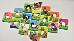 Educational Game Set "Where's Whose Skin?" (Seguin Method)