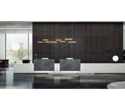 Reception Desk 004 by Home Evolution