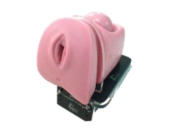 Hysteroscopy Training Simulator with Replaceable Uterine Modules, GP100S