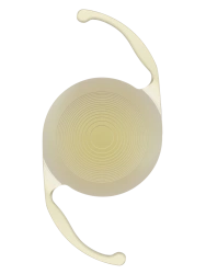 Soft Posterior Chamber Intraocular Lens