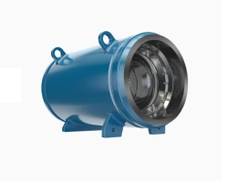 Non-Return Valve for Preventing Backflow - PT41012